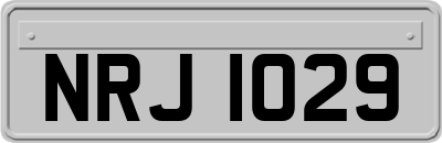 NRJ1029