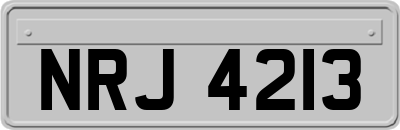 NRJ4213