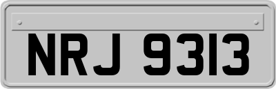 NRJ9313
