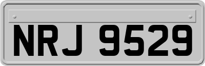 NRJ9529