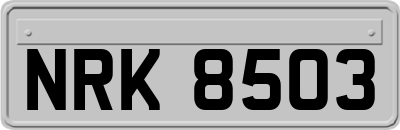 NRK8503
