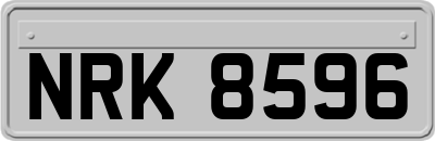 NRK8596