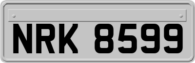 NRK8599
