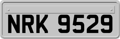 NRK9529