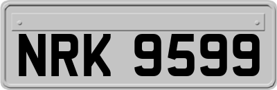NRK9599