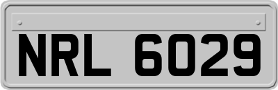 NRL6029