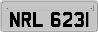 NRL6231