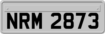 NRM2873