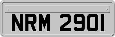 NRM2901