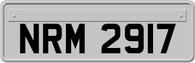 NRM2917