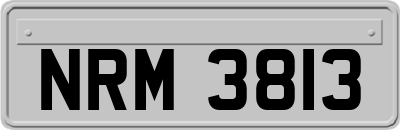 NRM3813