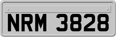 NRM3828