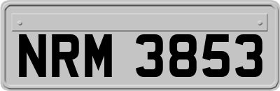 NRM3853