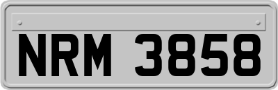 NRM3858