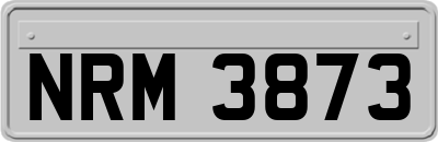 NRM3873