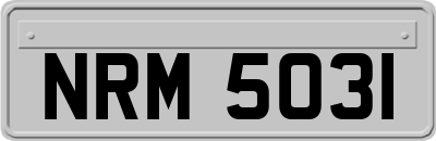 NRM5031