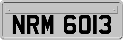 NRM6013