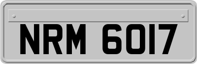 NRM6017
