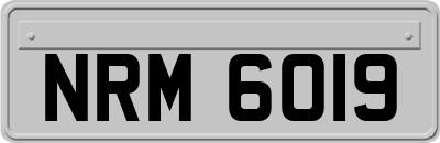 NRM6019