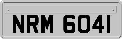 NRM6041