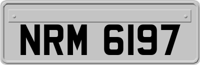 NRM6197