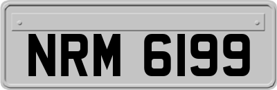 NRM6199