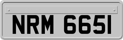 NRM6651