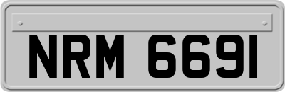 NRM6691