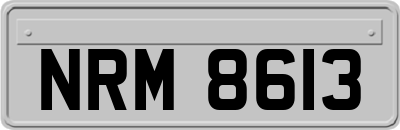 NRM8613