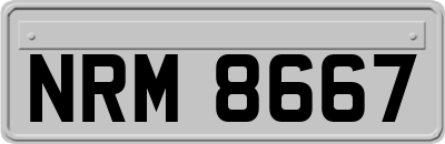 NRM8667
