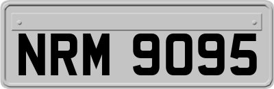 NRM9095