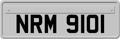 NRM9101