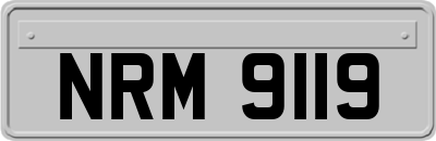 NRM9119