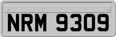 NRM9309