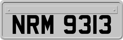 NRM9313