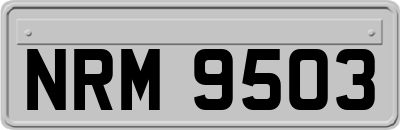 NRM9503