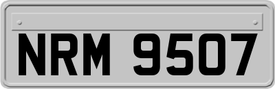NRM9507