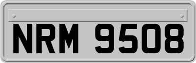 NRM9508