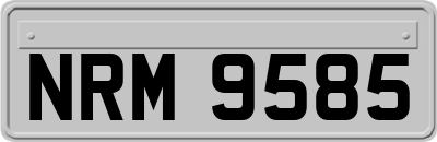 NRM9585