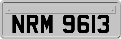 NRM9613