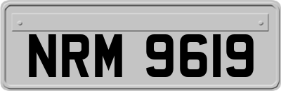 NRM9619