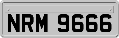 NRM9666