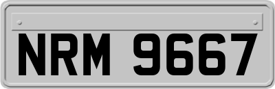 NRM9667