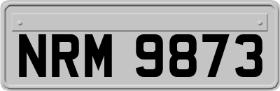 NRM9873