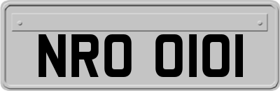 NRO0101