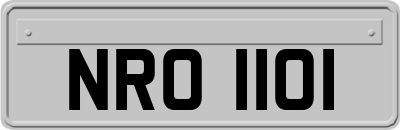 NRO1101