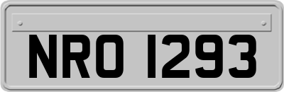 NRO1293