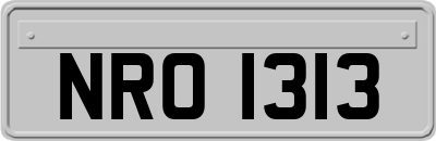 NRO1313