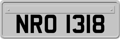 NRO1318