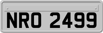 NRO2499